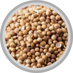 Coriandro