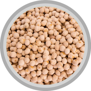Garbanzo