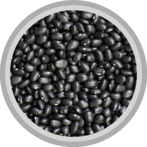 Poroto negro