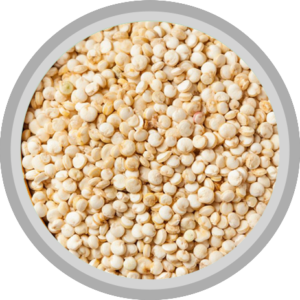 Quinoa